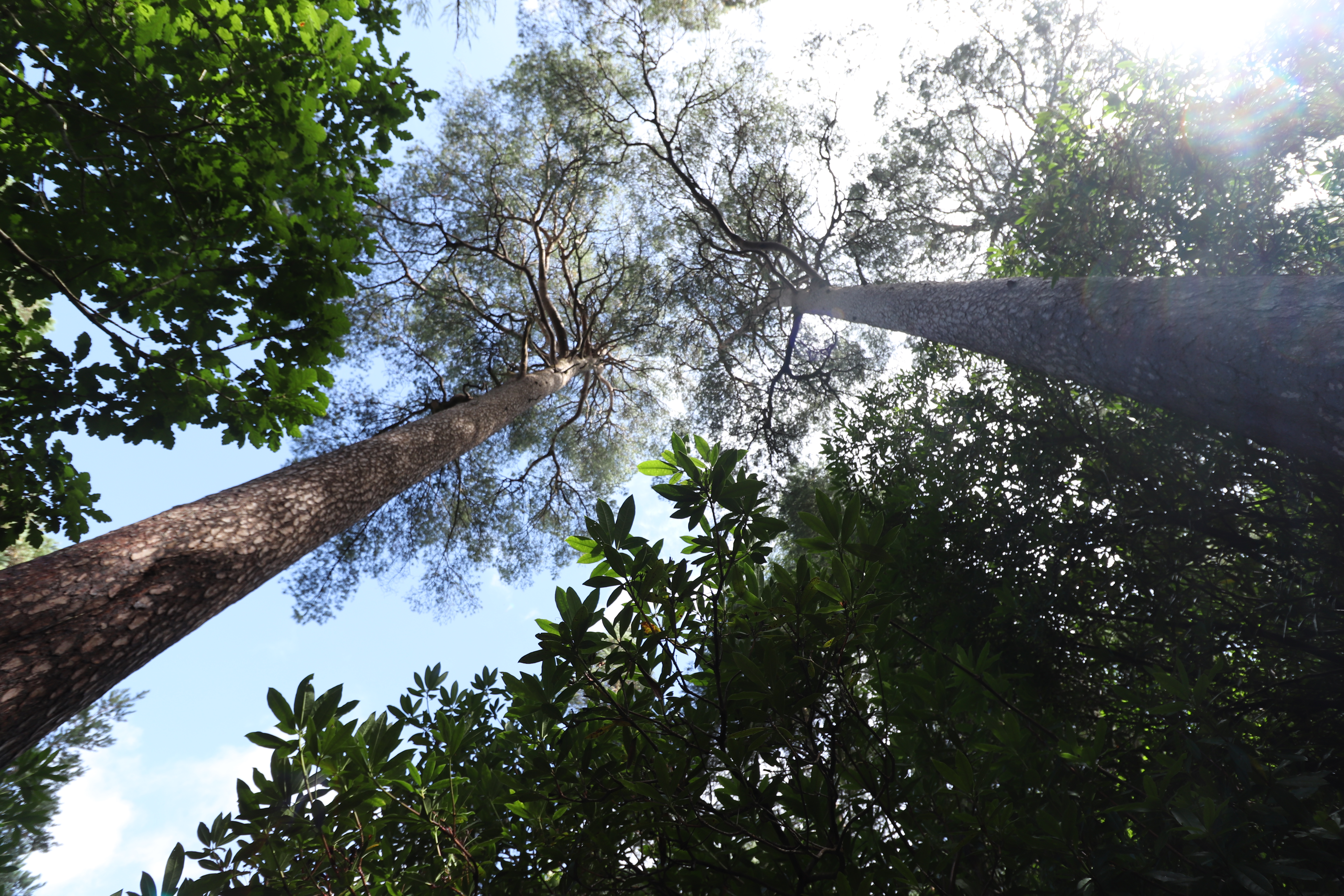Environmental