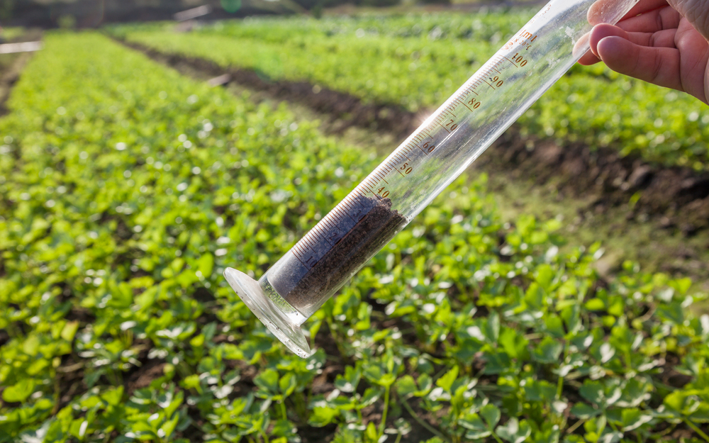 Soil Analysis