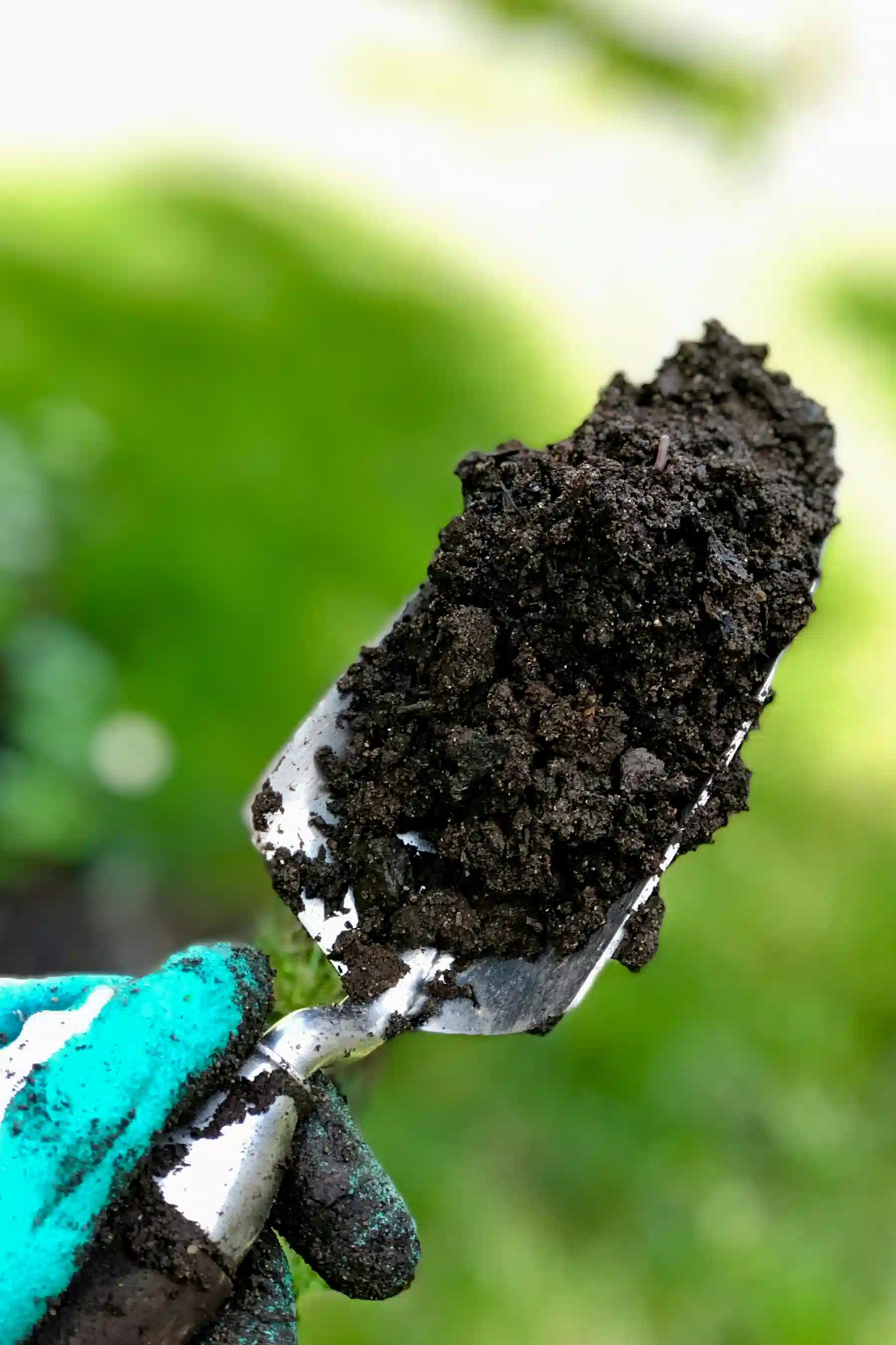 Soil Testing